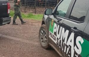Eles recuperaram 161 animais após roubar um homem rural em Santa Fé