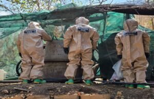 Obtiveram mais de 2 bilhões de pesos em precursores usados na criação de drogas em Michoacán