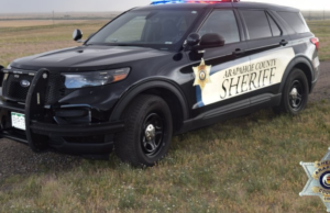 Um menino de 11 anos é suspeito de matar seu irmão de 5 anos no Colorado