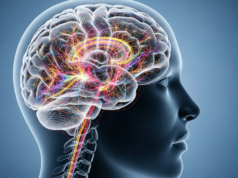 Novas técnicas nos permitem analisar a estrutura da experiência sensorial