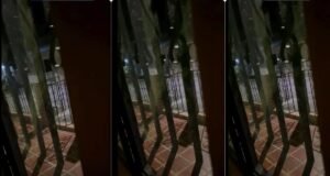 Grupos armados patrulham Mercadores, zona rural de Cauca, capturada em vídeo