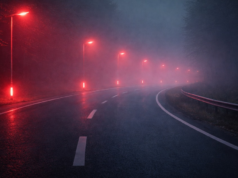 Cidades europeias que já iluminam as suas ruas com sinais vermelhos para morcegos estão a causar sérios problemas aos condutores