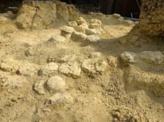 Eles encontraram centenas de ovos de dinossauros que ficaram enterrados por 70 milhões de anos em um local no sul da França