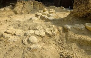 Eles encontraram centenas de ovos de dinossauros que ficaram enterrados por 70 milhões de anos em um local no sul da França