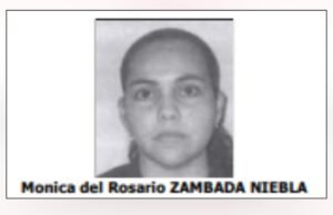 Estas são as primeiras empresas que os Estados Unidos vincularam a Mónica del Rosario, filha de El Mayo Zambada