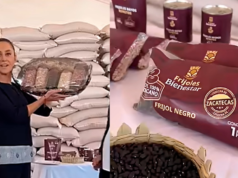 A coleta de feijão terminará com 96 mil toneladas: disse Sheinbaum em Zacatecas