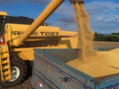Soja subiu acima de US$ 450 por tonelada e atingiu maior valor desde novembro de 2023