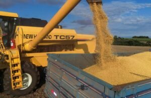 Soja subiu acima de US$ 450 por tonelada e atingiu maior valor desde novembro de 2023