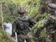 Colômbia anuncia a morte de seis pessoas envolvidas na operação contra os opositores de ‘Iván Mordisco’