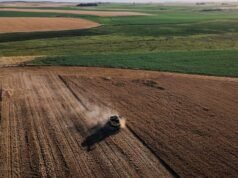 O campo abre oportunidades para investidores por US$ 50 com retornos competitivos