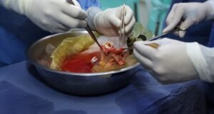 O plano IMSS que pode mudar o acesso às transferências no México