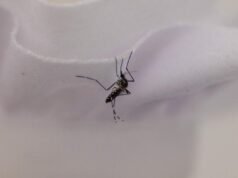 Um dispositivo anti-mosquito encontra um obstáculo: os proprietários de casas de Los Angeles estão ganhando dinheiro