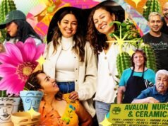 Melhor loja de plantas em LA