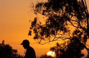 Uma perigosa onda de calor deve atingir Los Angeles esta semana