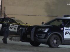 Jovens Pesquisadores Explorados pela Polícia em Programa de Mentoria; Whittier pagará US$ 3,5 milhões, disse o advogado