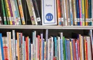 As crianças não viram a interrupção da escola na epidemia. Suas pontuações de leitura ainda estão atrás