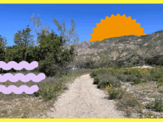 Voluntários necessários no Centro de Restauração Paisagística do Eaton Canyon