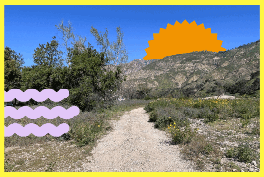 Voluntários necessários no Centro de Restauração Paisagística do Eaton Canyon