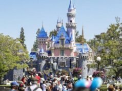 Participante: Não devemos tratar os adultos da Disney como abominações culturais