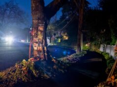 Sobreviventes do acidente fatal do Cybertruck na Bay Area processam Tesla