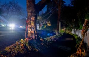 Sobreviventes do acidente fatal do Cybertruck na Bay Area processam Tesla