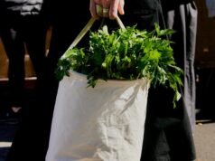 Vídeo de rua do Hollywood Farmers Market