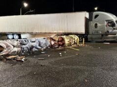 A cidade rural de Weed, na Califórnia, já está em apuros. Então seu totem caiu