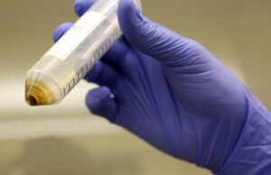Quase 40% dos produtos da Califórnia contêm pesticidas PFAS, disse o relatório