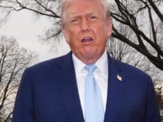 Autoridades do ICE em breve ajudarão a proteger aeroportos se os democratas não acabarem com a paralisação, diz Trump