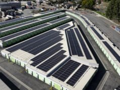 Energia renovável desafia ataques de Trump e atinge novo recorde