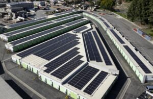 Energia renovável desafia ataques de Trump e atinge novo recorde