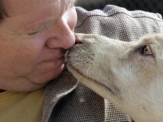 Federais: Proprietário do resgate planeja sequestrar ex-funcionário em vez de pagá-lo