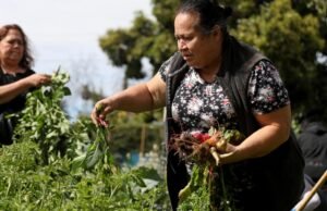 Ignacio Lopez defendeu os latinos. Em Pomona, Lopez Urban Farm continua seu legado