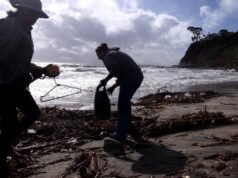 Produtos químicos industriais estão chegando ao meio do oceano, diz novo estudo