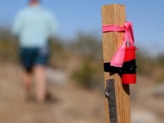 Próximo ao Parque Nacional Joshua Tree, uma mineradora está reivindicando