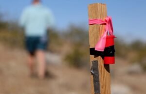 Próximo ao Parque Nacional Joshua Tree, uma mineradora está reivindicando