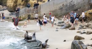 O nível do mar já está mais alto do que pensávamos, segundo novos cálculos