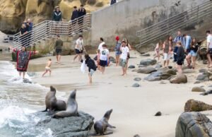 O nível do mar já está mais alto do que pensávamos, segundo novos cálculos