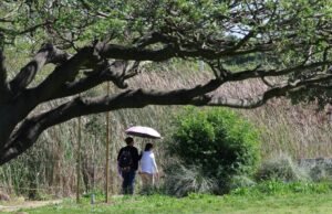Uma grande onda de calor está atingindo o SoCal. Los Angeles está enfrentando temperaturas recordes