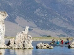 Os reguladores de água da Califórnia estão reexaminando por que Mono Lake não se recuperou
