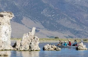 Os reguladores de água da Califórnia estão reexaminando por que Mono Lake não se recuperou