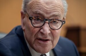 Schumer tinha planos de ganhar o Senado. Mas alguns democratas não concordam