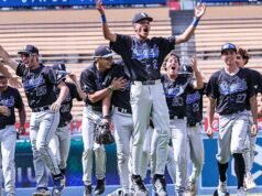 Palestra preparatória: confira os melhores times de beisebol da seção da cidade