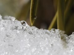 As altas temperaturas estão derretendo rapidamente a camada de neve da Califórnia