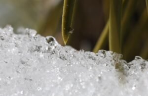 As altas temperaturas estão derretendo rapidamente a camada de neve da Califórnia
