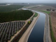 A administração Trump está gastando US$ 540 milhões em projetos hídricos na Califórnia