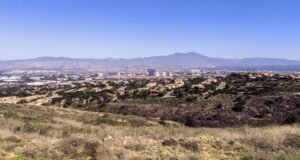 Morte rara por picada de cobra em Orange County destaca perigo oculto nas estradas do SoCal