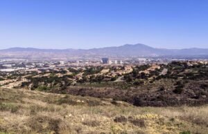 Morte rara por picada de cobra em Orange County destaca perigo oculto nas estradas do SoCal