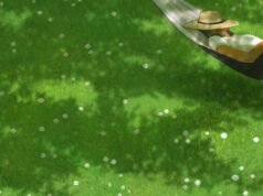 Encontre sombra durante o calor extremo nos parques e parques da área de Los Angeles