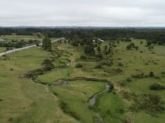 Um novo estudo desafia um local que é importante para a forma como os humanos chegaram às Américas